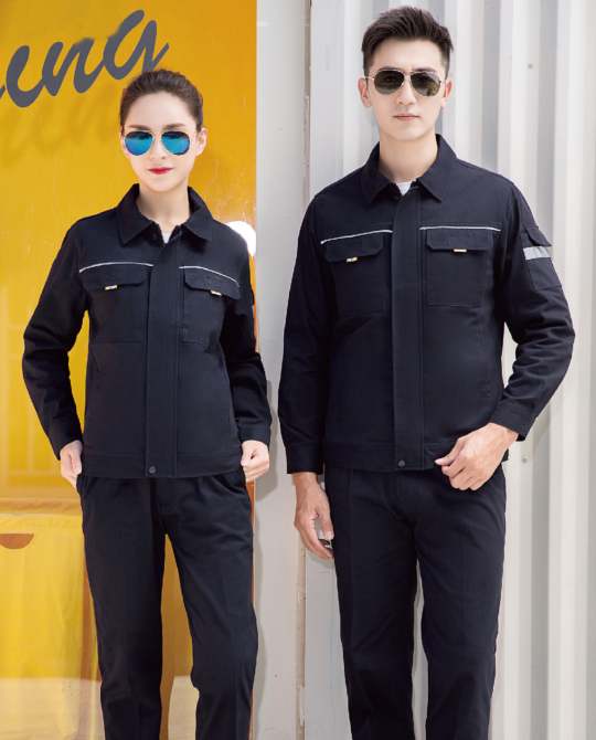 ʯ��ׯ�＾���޹�������������