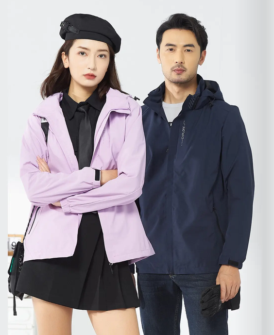 ʯ��ׯ��װ���ƹ���