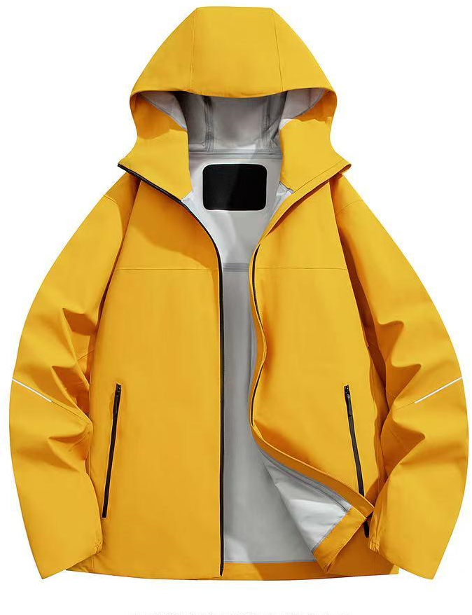 ʯ��ׯ��װ����¶���